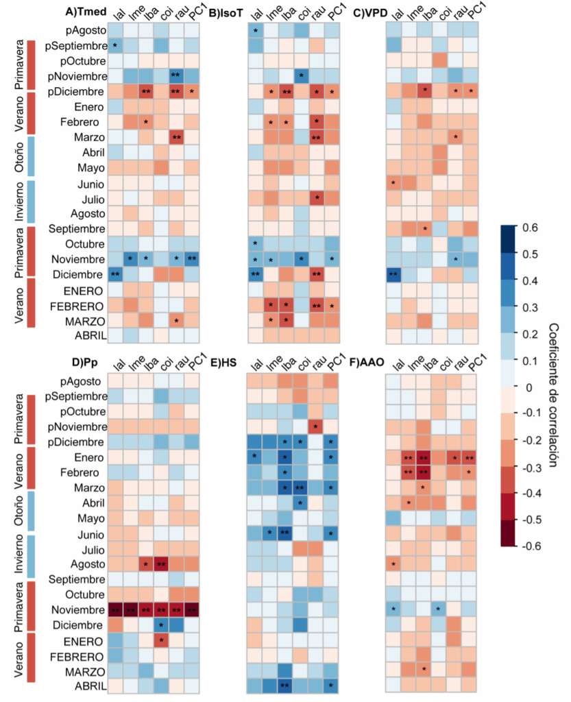 Figura 2. Coeficientes de correlación entre las cronologías de Nothofagus pumilio (LAL= lenga alta; LME = lenga media, LBA= Lenga baja), N. dombeyi (COI), N. alpina (RAU), PC1, y variables ambientales en el volcán Choshuenco. A) Tempeartura media, B) IsoT Altura de la isoterma 0°C. C) VPD déficit de presión de vapor, D) Pp precipitación. E) HS humedad del suelo, y E) AAO Índice Oscilación Antártica. Análisis de correlación fueron calculados desde agosto de la estación de crecimiento previa (pAgosto) a abril de estación de crecimiento actual (ABRIL). Antes de realizar los análisis de correlación entre las cronologías y las variables ambientales, las variables fueron destendenciadas usando un modelo autoregresivo (*p