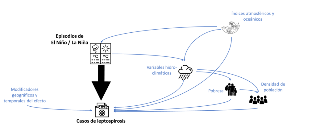 Gráfico acíclico dirigido (DAG) con las relaciones causales hipotéticas entre los episodios de El Niño y La Niña (variable de exposición) y el exceso de casos de leptospirosis (variable de resultado).