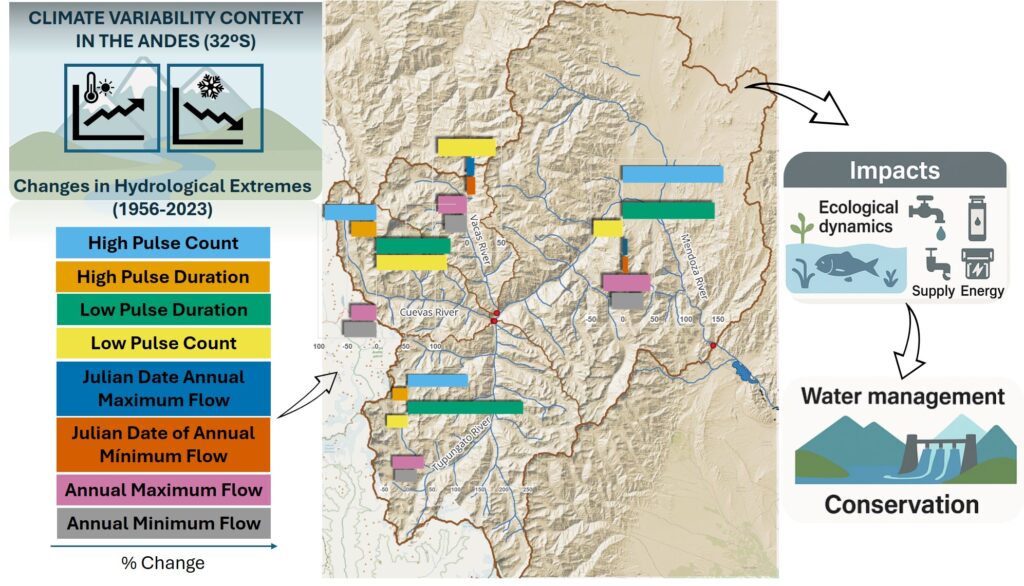 Figura 1: Los cambios hidrológicos (1956-2023) en la cuenca del río Mendoza, en los Andes centrales argentinos, revelan variaciones en los pulsos de caudal, su magnitud y su cronología en el contexto de la variabilidad climática. Estos cambios afectan a los ecosistemas, el suministro de agua y la energía, lo que pone de relieve la necesidad de una gestión adaptativa del agua y su conservación en las regiones de alta montaña.