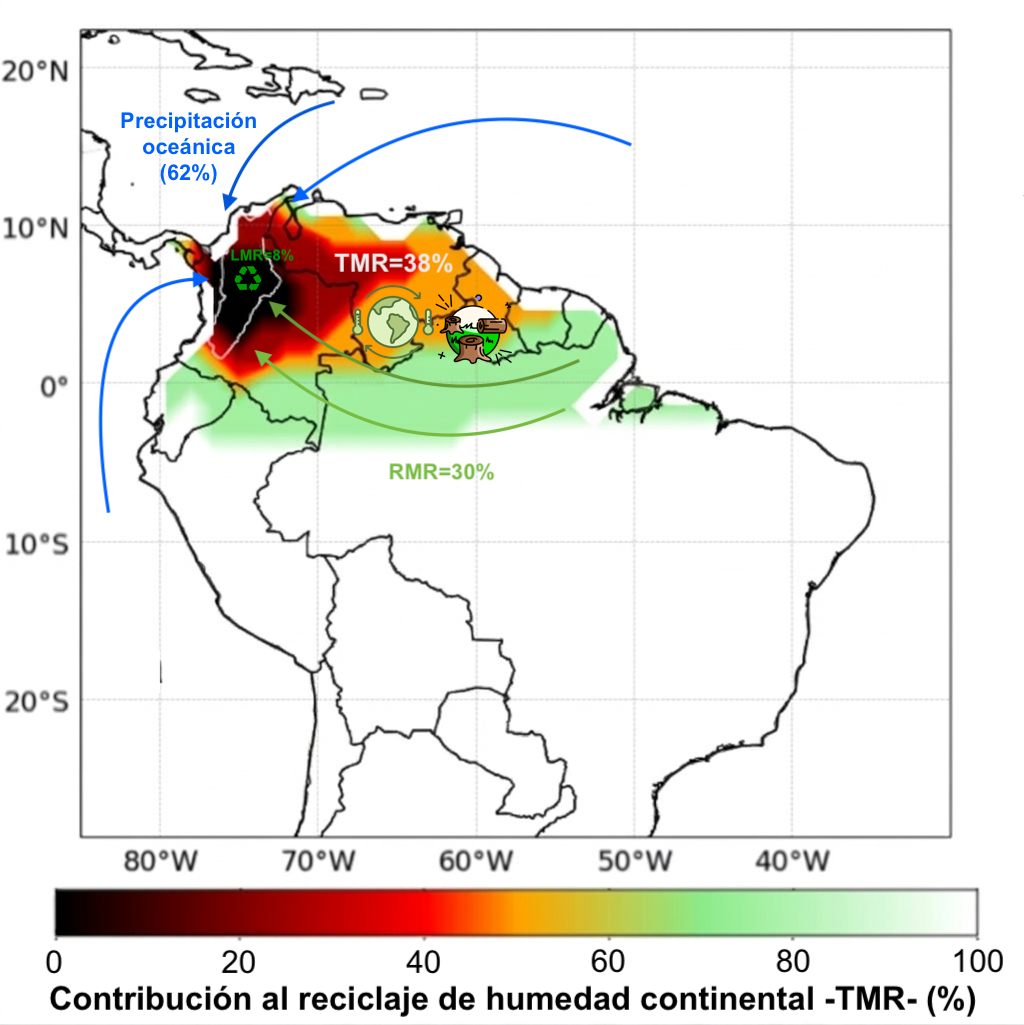Esquema conceptual de las contribuciones de humedad a la cuenca del río Magdalena. Las flechas azules representan el transporte de vapor de agua desde los océanos Pacífico y Atlántico (precipitación oceánica), que en conjunto aportan aproximadamente 62 % de la precipitación total. El 38 % restante corresponde al reciclaje terrestre de humedad o TMR (Terrestrial Moisture Recycling), generado dentro de la cuenca aérea continental que alimenta la lluvia de la cuenca (precipitationshed). Este reciclaje se divide en LMR (Local Moisture Recycling, 8 %), que representa la fracción de precipitación originada por evapotranspiración dentro de la propia cuenca, y RMR (Regional Moisture Recycling, 30 %), correspondiente a la humedad reciclada en otras regiones continentales que posteriormente es transportada por la atmósfera hacia la cuenca. El gradiente de colores (verde–rojo) ilustra la contribución relativa de la evapotranspiración continental a la TMR.